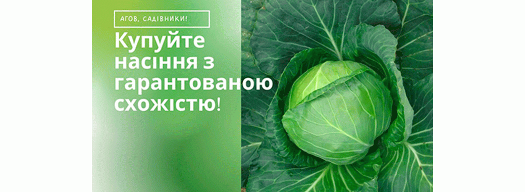 Реклама капуста