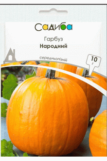 Гарбуз Народний (10г)