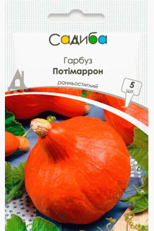 Гарбуз Потімаррон (5шт)