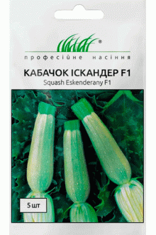Кабачок Іскандер (Ескандерані) F1 (5 шт)