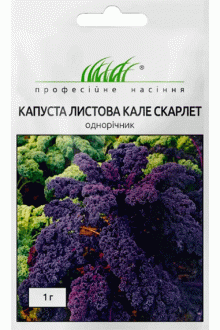 Капуста Кале Скарлет (1г)