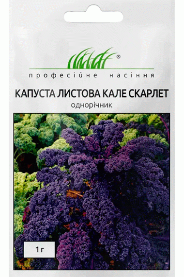 Капуста Кале Скарлет