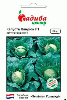 Капуста білоголова Пандіон F1 (20 шт)