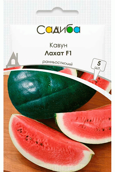 Кавун Лахат F1