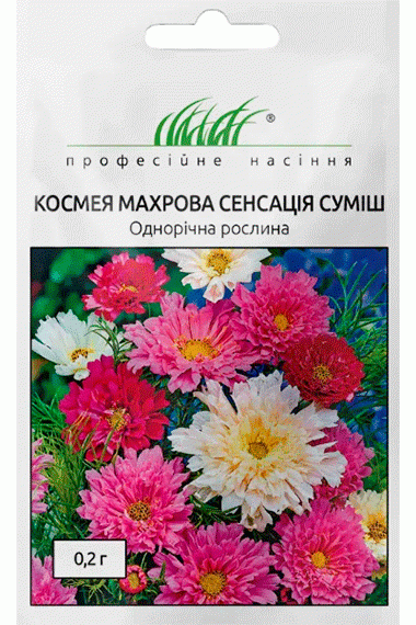 Космея махрова Сенсація суміш