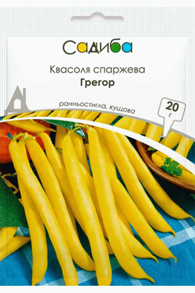 Квасоля спаржева Грегор