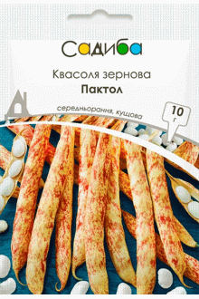 Квасоля зернова Пактол (10г)
