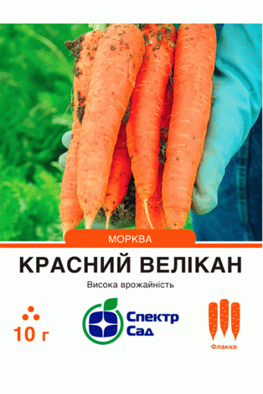 Морква Красний велікан