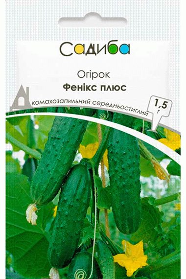 Огірок Фенікс плюс