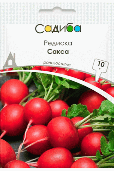 Редис Сакса 