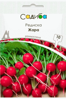 Редис Жара (10г)