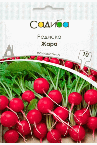 Редис Жара 