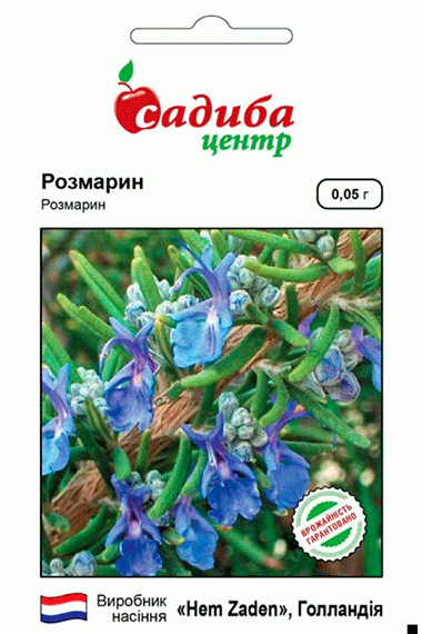 Розмарин