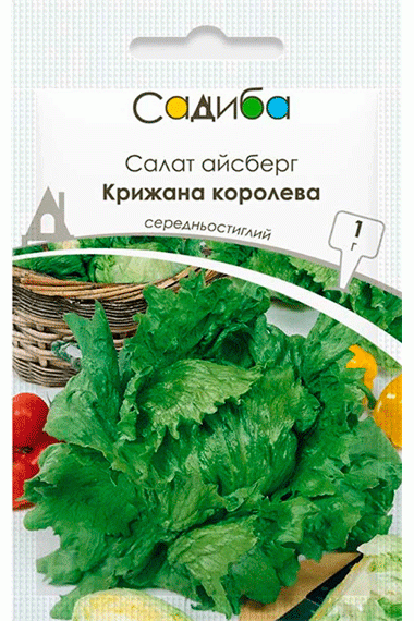 Салат айсберг Крижана королева