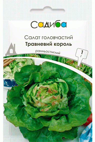 Салат головчастий Травневий король