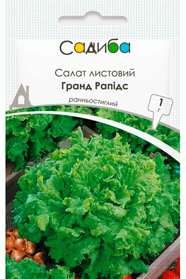 Салат листовий Гранд Рапідс