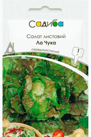 Салат листовий Ла Чука