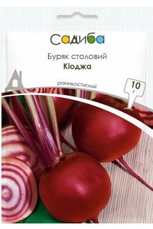 Буряк Кіоджа (3г)