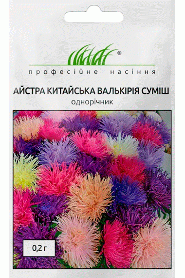 Айстра голчаста Валькірія суміш 