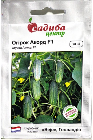 Огірок Акорд F1