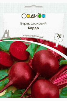 Буряк Бордо (20г), Садиба