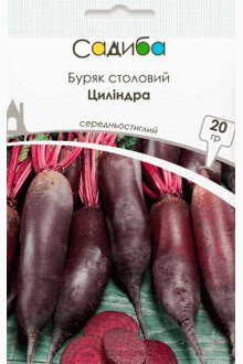Буряк Циліндра (20г)