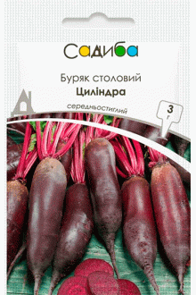 Буряк Циліндра (3г)