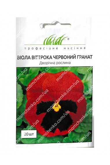 Віола віттрока Червоний гранат