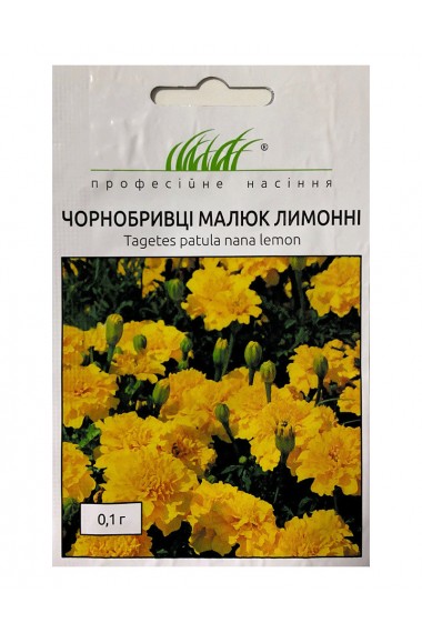 Чорнобривці Малюк лимонні
