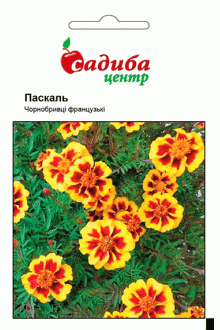 Чорнобривці Паскаль (0,2г)