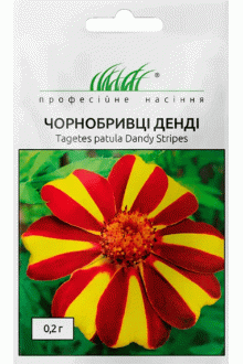 Чорнобривці розлогі Денді (0,2г)