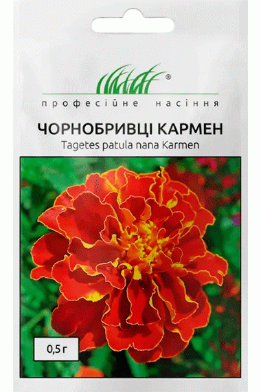 Чорнобривці розлогі Кармен