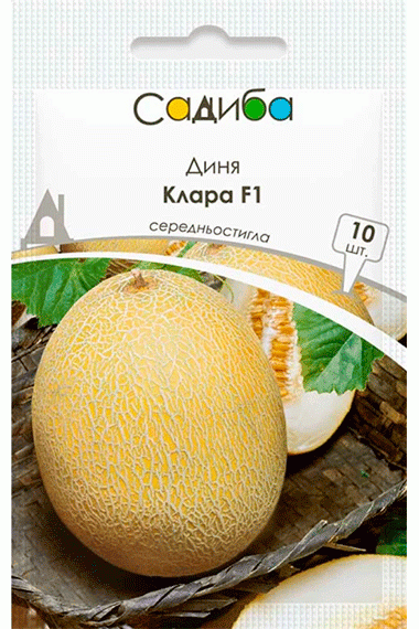 Диня Клара F1