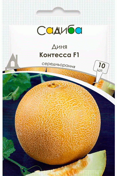Диня Контесса F1