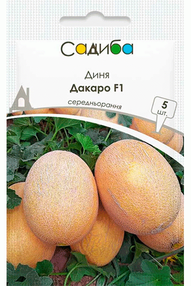 Диня Дакаро F1