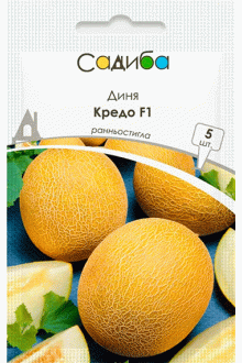 Диня Кредо F1 (5 шт)