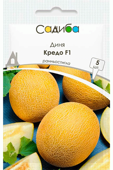 Диня Кредо F1