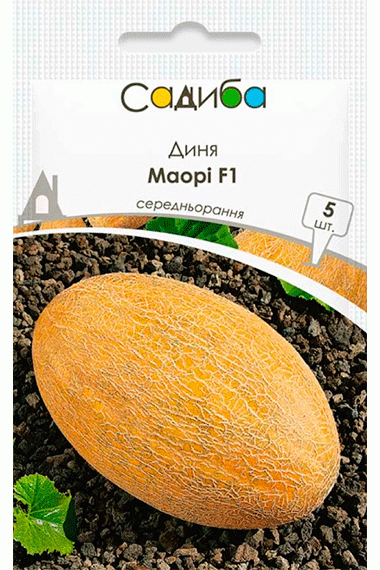 Диня Маорі F1