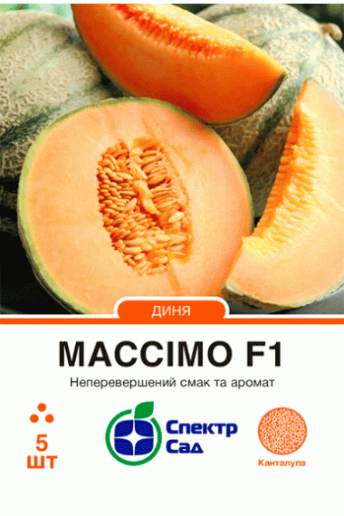 Диня Массімо F1
