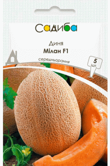 Диня Мілан F1 (5шт)
