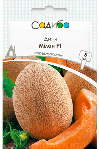 Диня Мілан F1