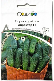Огірок Директор F1 (10шт), Садиба