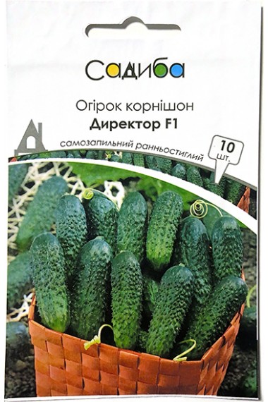 Огірок Директор F1
