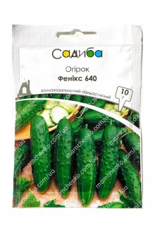 Огірок Фенікс 640 (10 г)