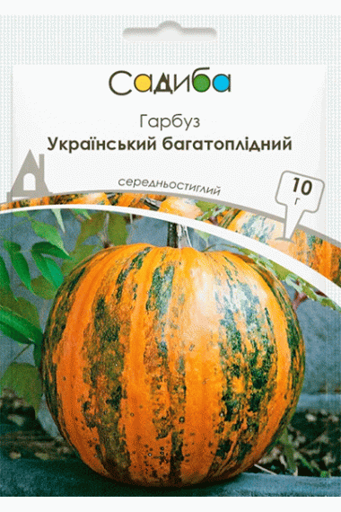 Гарбуз Український багатоплідний