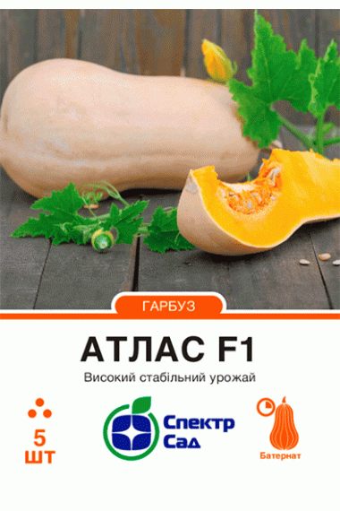 Гарбуз Атлас F1