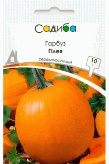 Гарбуз Гілея (10г)