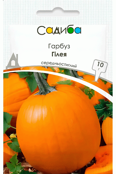 Гарбуз Гілея (10г)
