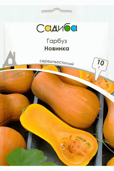 Гарбуз Новинка