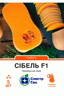 Гарбуз Сібель F1 (5шт)
